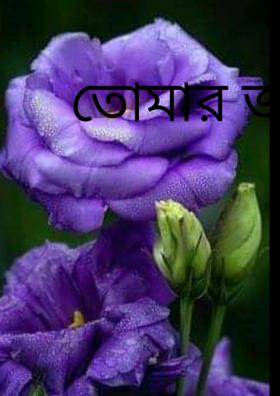 তোমার জন্য
