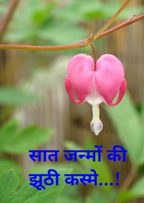 सात जन्मों की झूठी कसमें