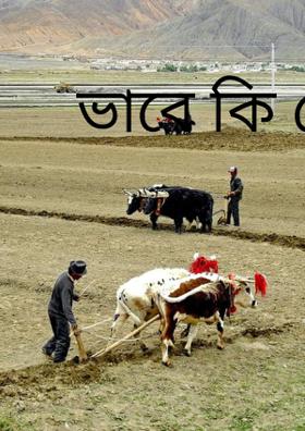 ভাবে কি কেউ