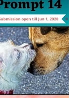 ବିଚିତ୍ର ବ୍ୟବହାର