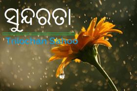 ସୁନ୍ଦରତା