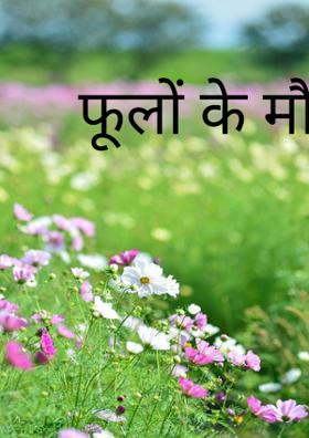 फूलों के मौसम अा गए