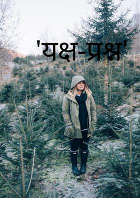 'यक्ष-प्रश्न'