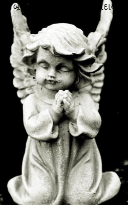 બ્રેનડેડ રિવ્યાની અને અંગદાન