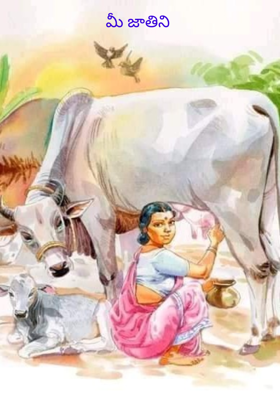 మీ జాతిని