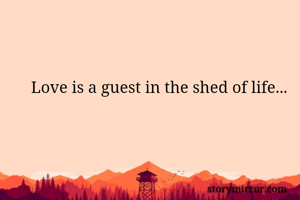 Love is a guest in the shed of life...