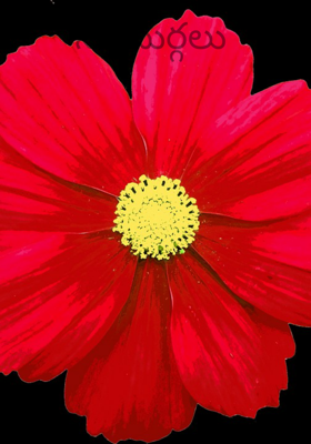 నవదుర్గలు