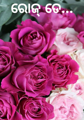 ରୋଜ୍ ଡେ...