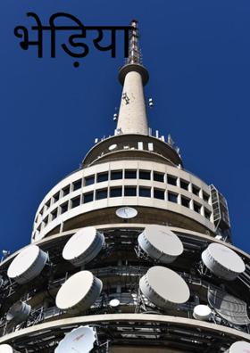 भेड़िया