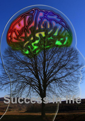 Success In Life