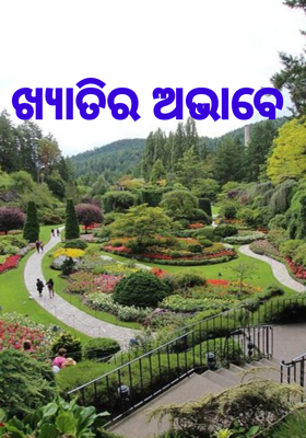 ଖ୍ୟାତିର ଅଭାବେ