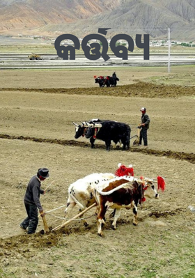 କର୍ତ୍ତବ୍ଯ