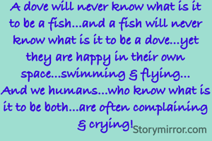 A dove will never know what is it to be a fish...and a fish will never know what is it to be a dove...yet they are happy in their own space...swimming & flying...
And we humans...who know what is it to be both...are often complaining & crying!
