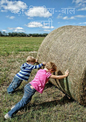 बड़ों की सीख