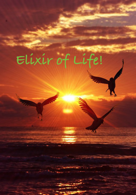 Elixir Of Life!