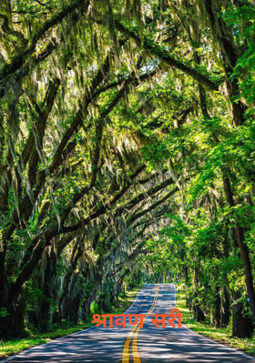 श्रावण सरी