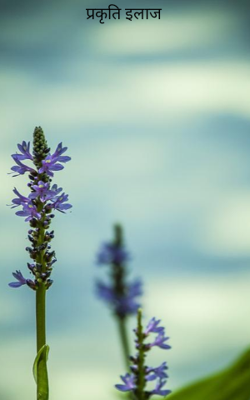 प्रकृति इलाज