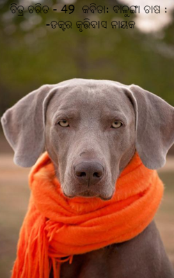 ଚିତ୍ର ଚରିତ - 49  କବିତା: ବାଳୁଙ୍ଗା ଚାଷ