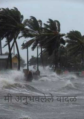 मी अनुभवलेले वादळ