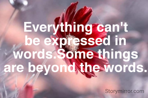 Everything can't be expressed in words.Some things are beyond the words.
