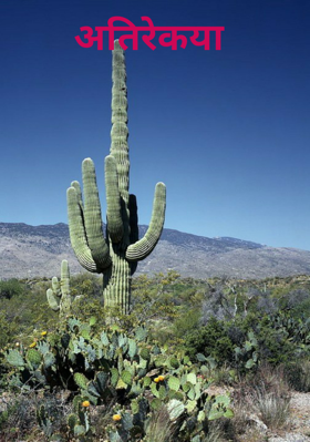 अतिरेक्या