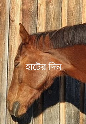 হাটের দিন
