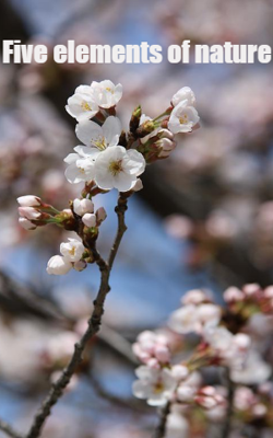 Five elements of nature