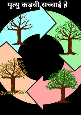 मृत्यु कड़वी सच्चाई है