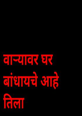 वाऱ्यावर घर बांधायचे आहे तिला