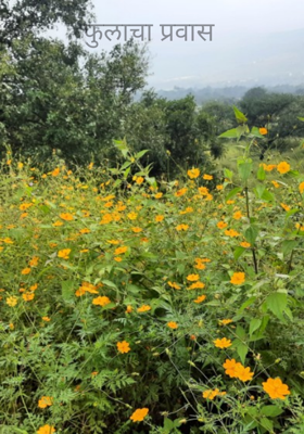 फुलाचा प्रवास
