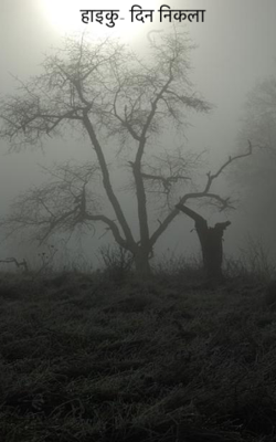 हाइकु- दिन निकला