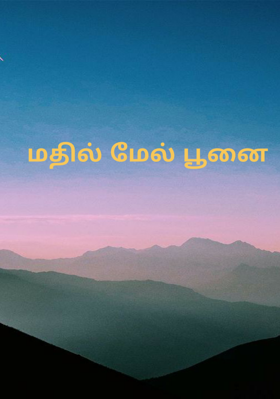 மதில் மேல் பூனை