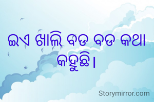 ଇଏ ଖାଲି ବଡ ବଡ କଥା କହୁଛି।