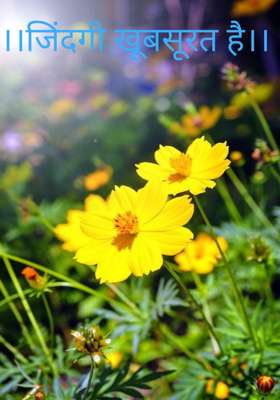 जिंदगी खूबसूरत है