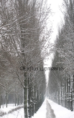 பெரிய புராணம்