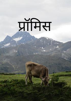 प्रॉमिस