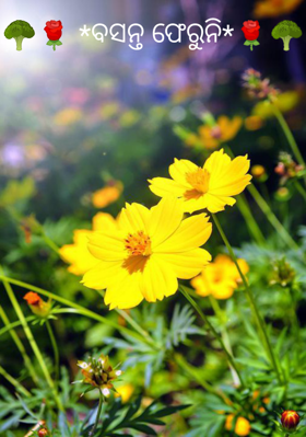 ବସନ୍ତ ଫେରୁନି