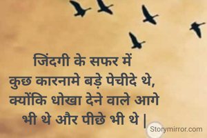 जिंदगी के सफर में 
कुछ कारनामे बड़े पेचीदे थे, 
क्योंकि धोखा देने वाले आगे
भी थे और पीछे भी थे |