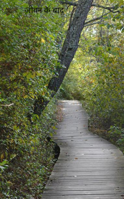 जीवन के बाद