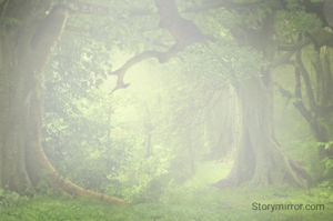 You are the 'DriveR' of this 'Life caR'