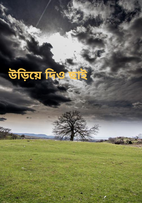 উড়িয়ে দিও ছাই