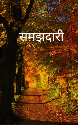 समझदारी