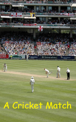 A Cricket Match