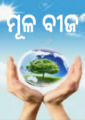 ମୂଳ ବୀଜ