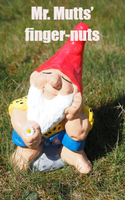 Mr. Mutts’ finger-nuts