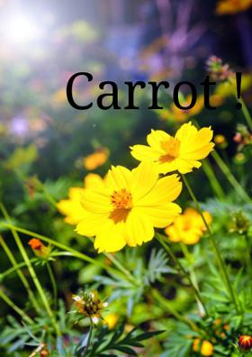 Carrot!