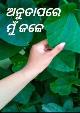 ଅନୁତାପରେ ମୁଁ ଜଳେ