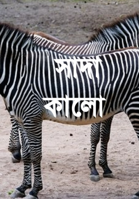 সাদা কালো