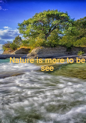 Nature Is More To Be See