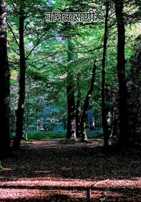 वनिताराणी